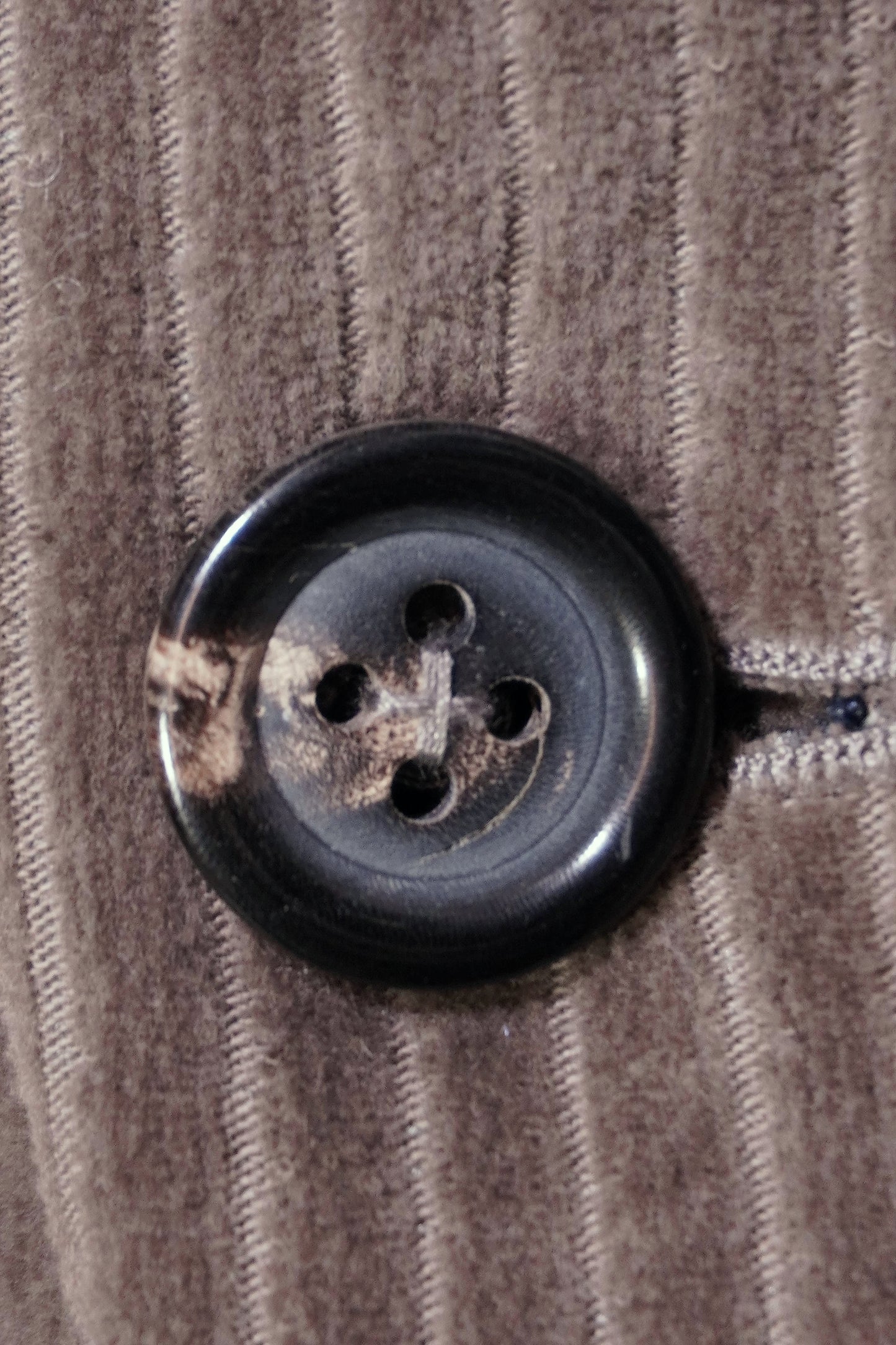 Circolo Cord Blazer Taupe